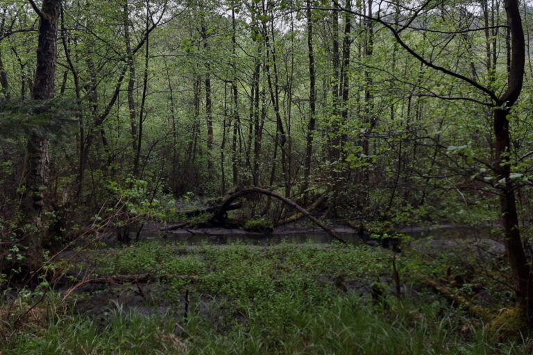 Code of Ecological Conduct of Nová síť